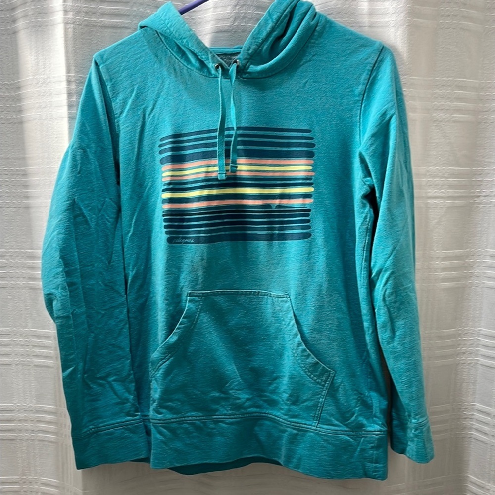 Patagonia hoodie sweatshirt women’s XS blue graphic hoodie